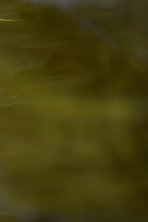 abstract  backgroundの写真素材