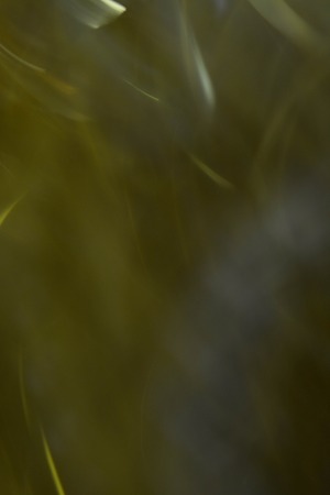 abstract  backgroundの写真素材