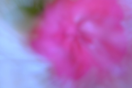 Abstract background, flowersの写真素材