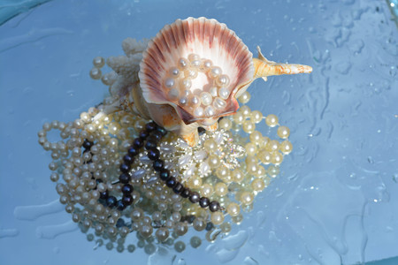 Beautiful pearls and shells reflected in pure water, natureの写真素材