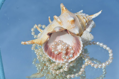 Beautiful pearls and shells reflected in pure water, natureの写真素材