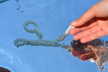 Pearls and hands reflected in pure waterの写真素材