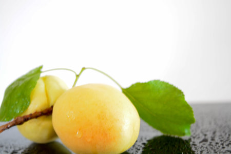 Acricots, reflectedの写真素材