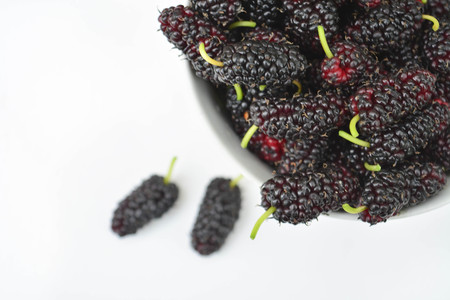 Fresh mulberries, healthy foodの写真素材