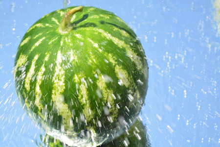 Watermelon reflected in waterの写真素材