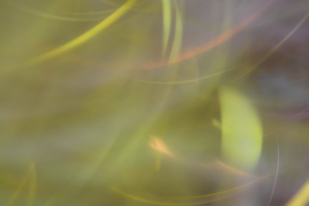 Abstract background, lights