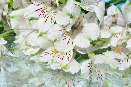 Beautiful flowers reflected in pure water