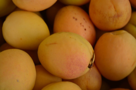 Fresh apricotsの写真素材