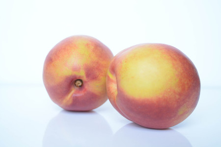 Fresh peaches on white backgroundの写真素材