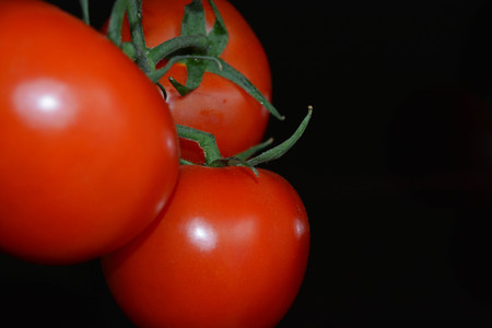 Fresh tomatoesの写真素材