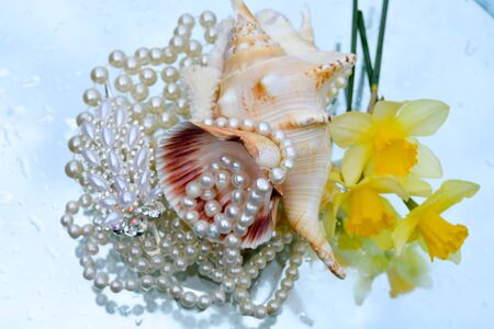 Beautiful flowers pearls and shells reflected in pure waterの写真素材