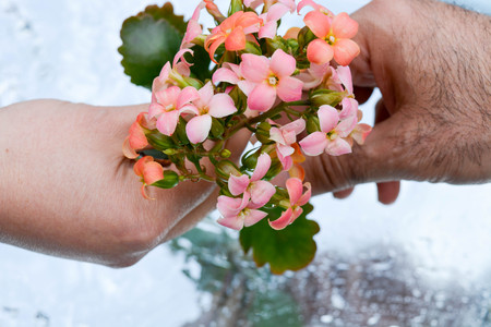 Beautiful flowers in hand reflected in pure water, natural backgの写真素材