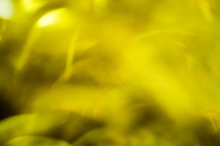 Abstract yellow backgroundの写真素材