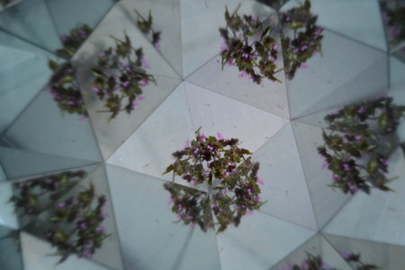 Abstract background,  beautiful flowers, nature, kaleidoscope ef