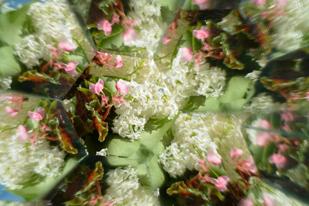 Abstract background,  beautiful flowers, nature, kaleidoscope ef