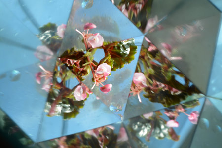 Abstract background,  beautiful flowers, nature, kaleidoscope ef