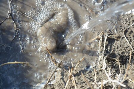 Natural background, soil and water, nature, brown, dropsの写真素材