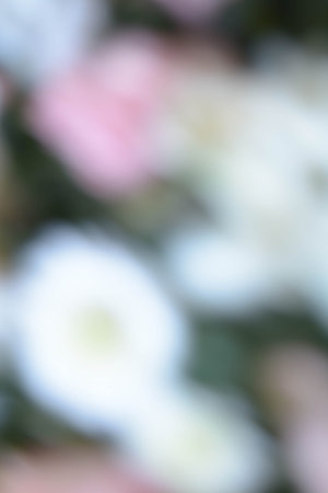 Abstract natural background, flowers, colorful, red, white