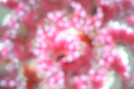 Abstract natural background, flowers, colorful, red, whiteの写真素材