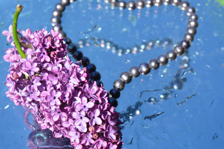 Beautiful lilacs  and pearls reflected in waterの写真素材
