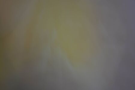 Abstract background, flowersの写真素材