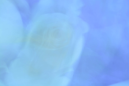 Abstract background, flowersの写真素材