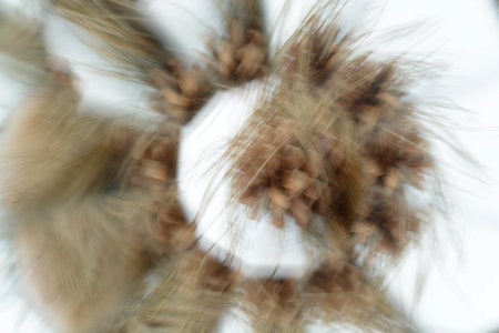 Abstract natural background, pine cone, kaleidoscope effect, pla