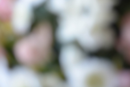 Abstract natural background, flowers, colorful, red, whiteの写真素材