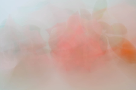 Abstract background, flowersの写真素材