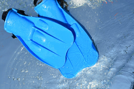 Blue flippers on water backgroundの写真素材