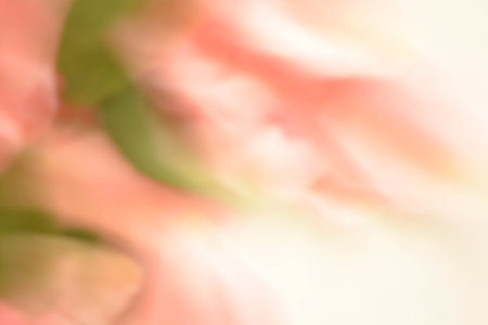 Abstract colorful background, flowers, rose, red, blue