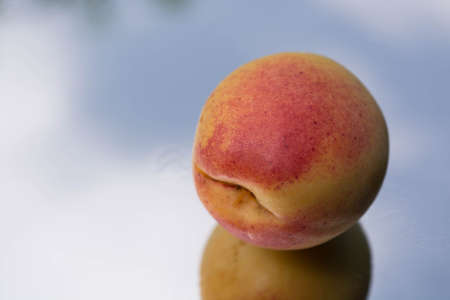 Fresh apricots, healthy foodの写真素材