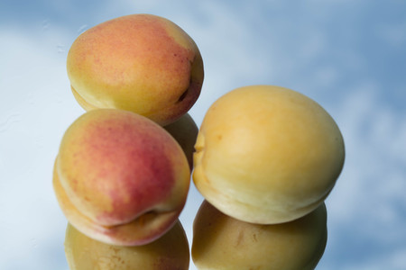 Fresh apricotsの写真素材