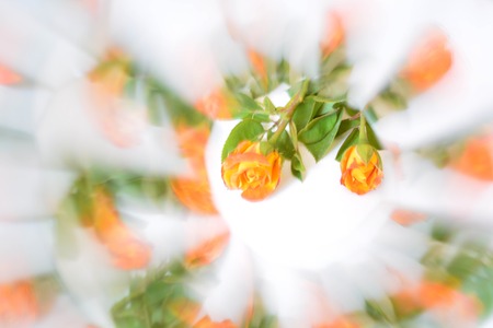 Abstract background, flowersの写真素材