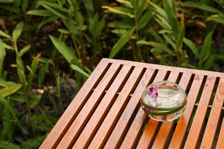 Orchid flower in a glass bowl - decoration set on the wooden table. Winter garden. Respite concept. Focus on the bowl with blurry background.の写真素材