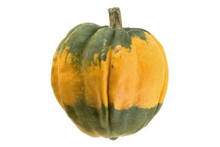 Bi-color decorative pumpkin over pure white background.の写真素材