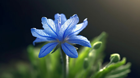 Speedwell Flower Beautifully Bloomed. Created by Generative AI Technology.の素材