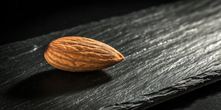 Dramatic capture of a single almond on black slate surface unique food photography studio environment close-up viewの素材