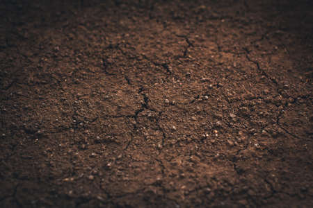 Dark soil texture closeup of dry soil backgroundの写真素材