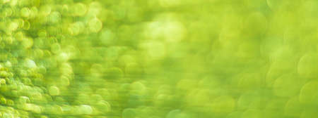 Green abstract background with bokeh defocused lightsの写真素材
