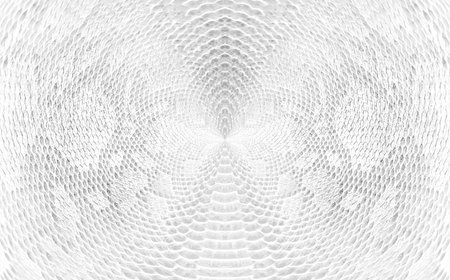 Skin snake background White snake skin texture Close-upの写真素材