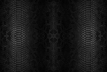 Snake skin background. Close up reptile texture.の写真素材