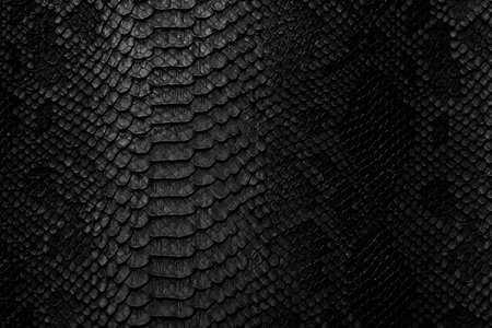 Snake skin background. Close up.の写真素材