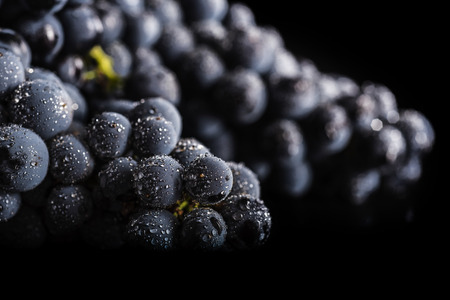 Dark bunch of grape in low light on black isolated background, macro shot, water dropsの写真素材
