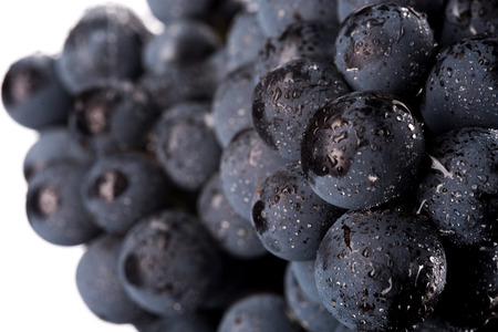Close up, berries of dark bunch of grape with water drops in low light isolated on white backgroundの写真素材