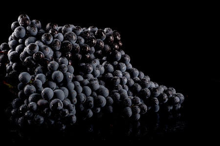 Close up, berries of dark bunch of grape with water drops in low light isolated on black backgroundの写真素材