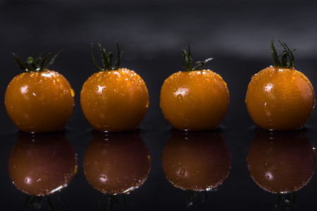 Yellow tomatoes on black background ,water drops ,closeup ,  mirrorの写真素材