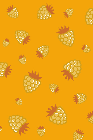 Berries color  pattern on isolated backgroundの写真素材