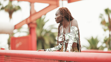 Gorgeous woman with African braids wearing top stands on the bridgeの写真素材