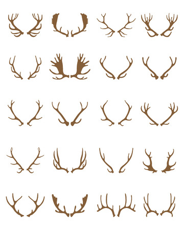 Golden silhouettes of different deer horns.のイラスト素材